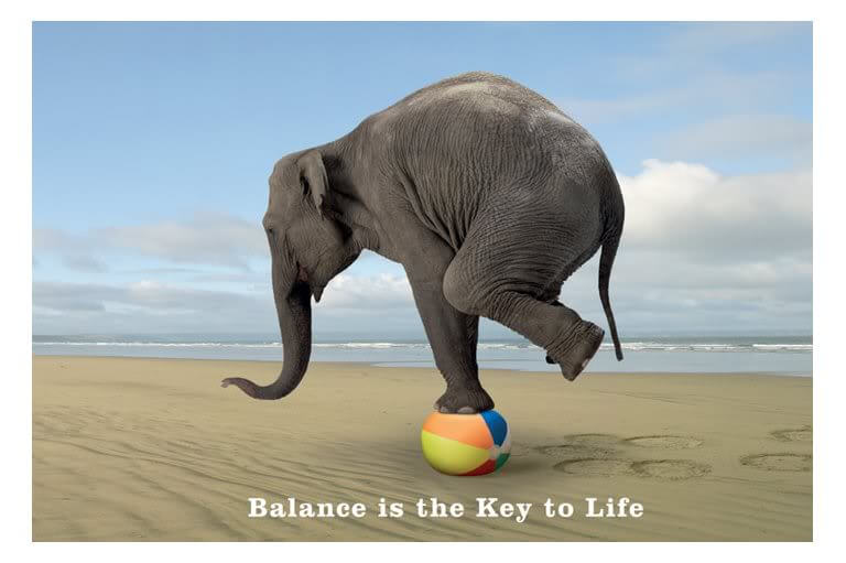 Balance is the Key to Life
