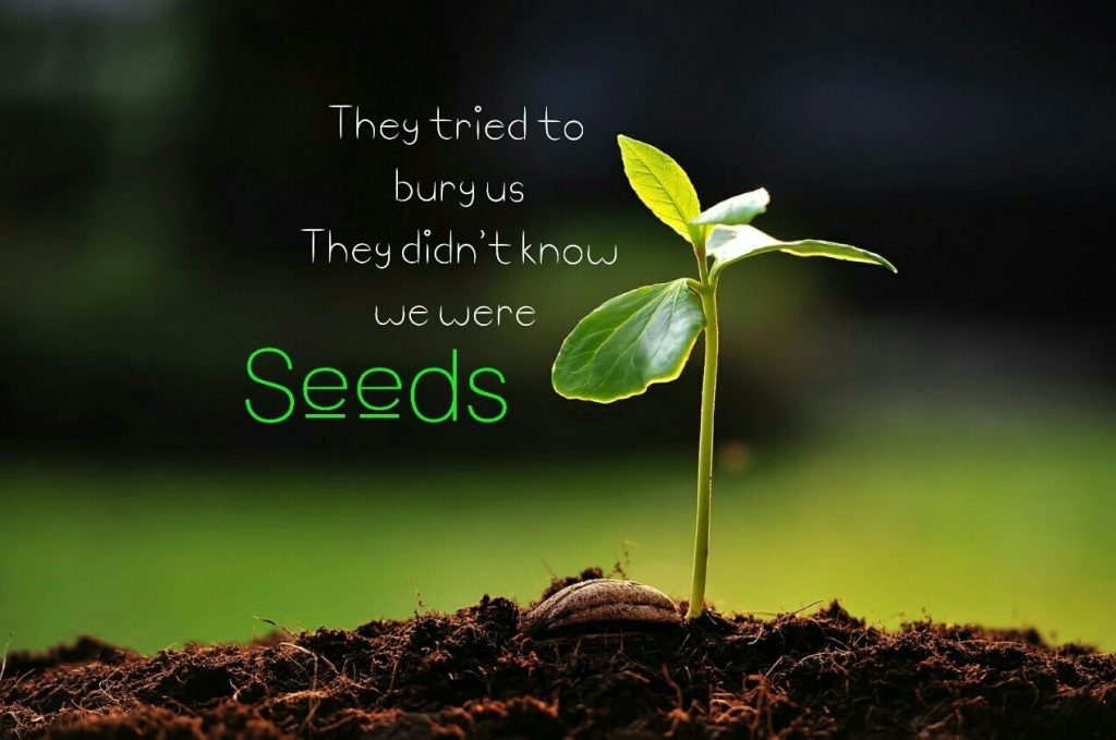 "They Tried to Bury Us. They Didn't Know We Were Seeds."